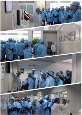 聚享綠色能源，共筑智能未來——SMA揚中工廠開放日活動圓滿落幕